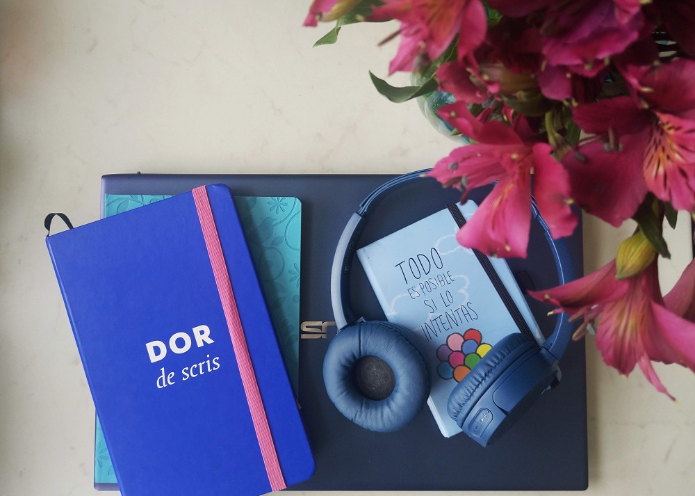 jurnal de izolare simona rentea