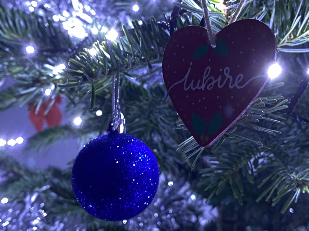 traditii si recunostinta craciun simonarentea.ro foto credit cristian verzea