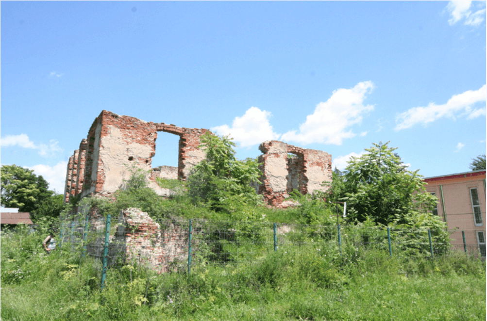 ruine filipestii de padure ruine cantacuzino monumenteuitate.ro arbore genealogic memoria simonarentea.ro_