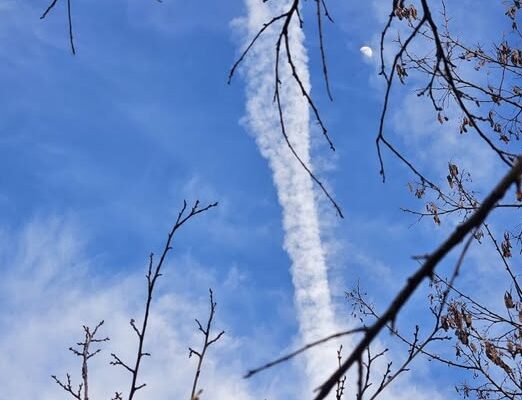 127 de mame in adn-ul nostru arbore genealogic memoria simonarentea.ro