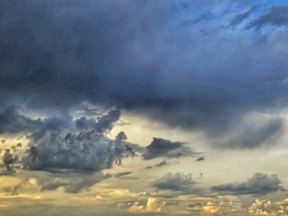 arbore genealogic un timp al asteptarii memoria simonarentea.ro credit foto stefania verzea