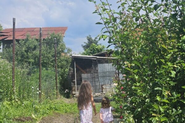 vatra stramosilor mei arbore genealogic memoria simonarentea.ro