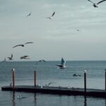 de fiecare dată e cineva